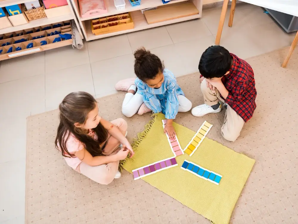 American Montessori Preparatory School, Tampa