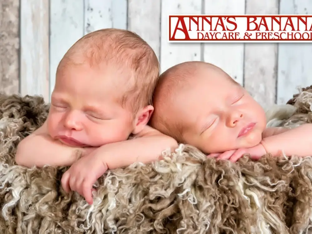 Anna's Bananas Daycare and Preschool, Lakeville