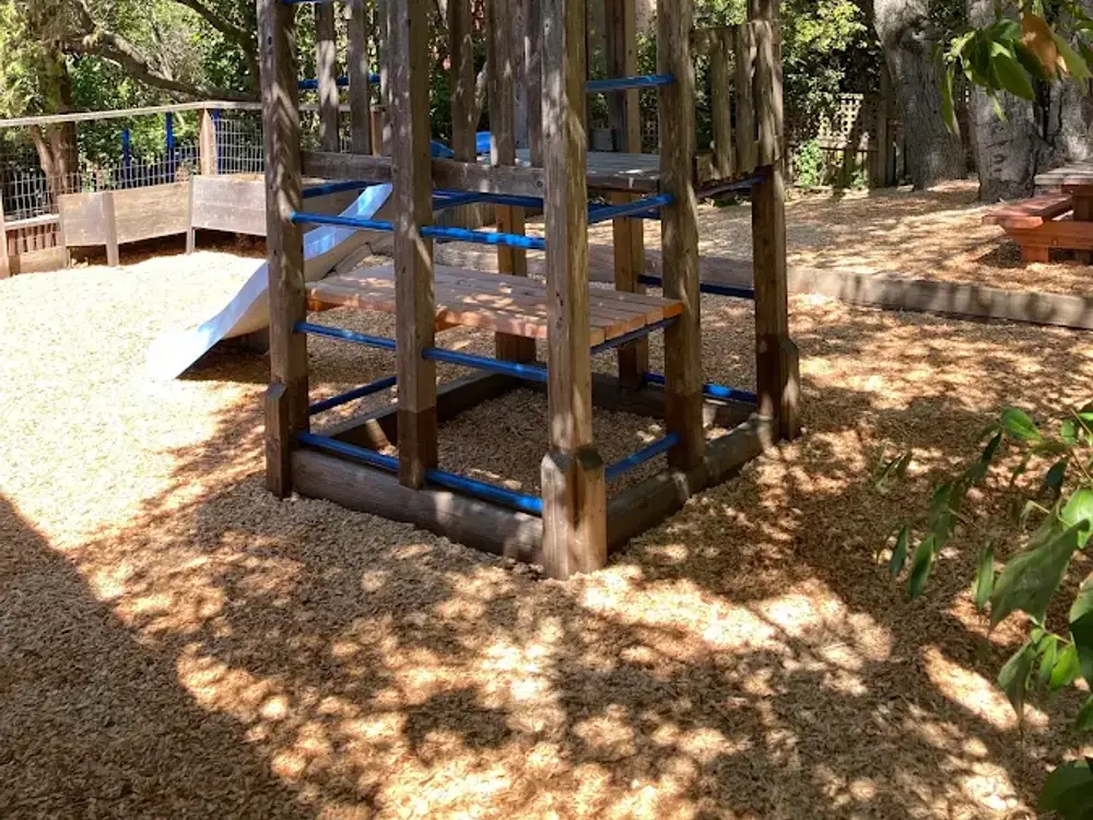 Arbor Preschool in Berkeley, CA