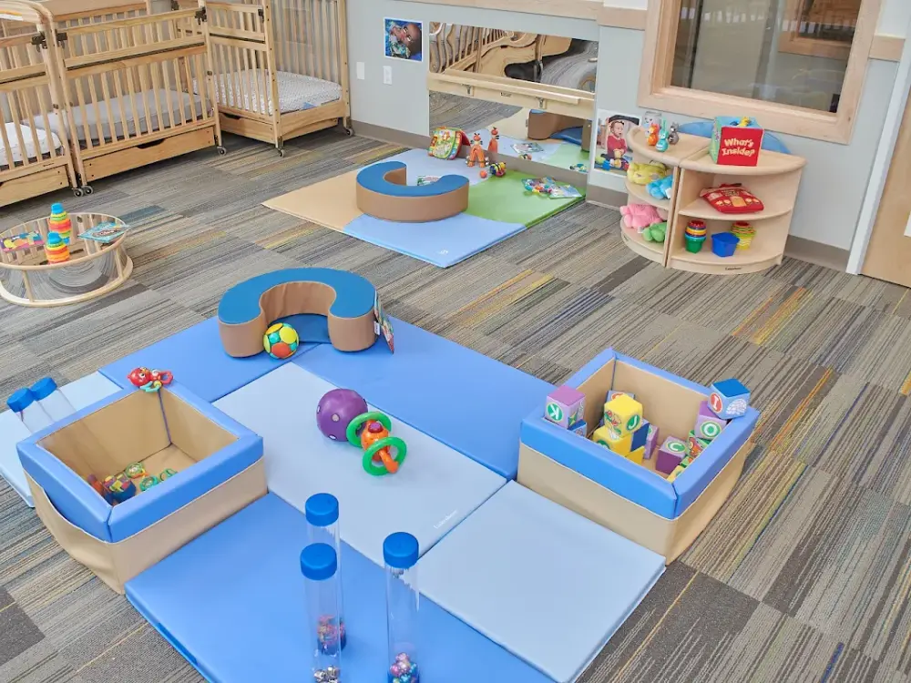 Birch Tree Academy Bel Red - Preschool & Childcare, Bellevue