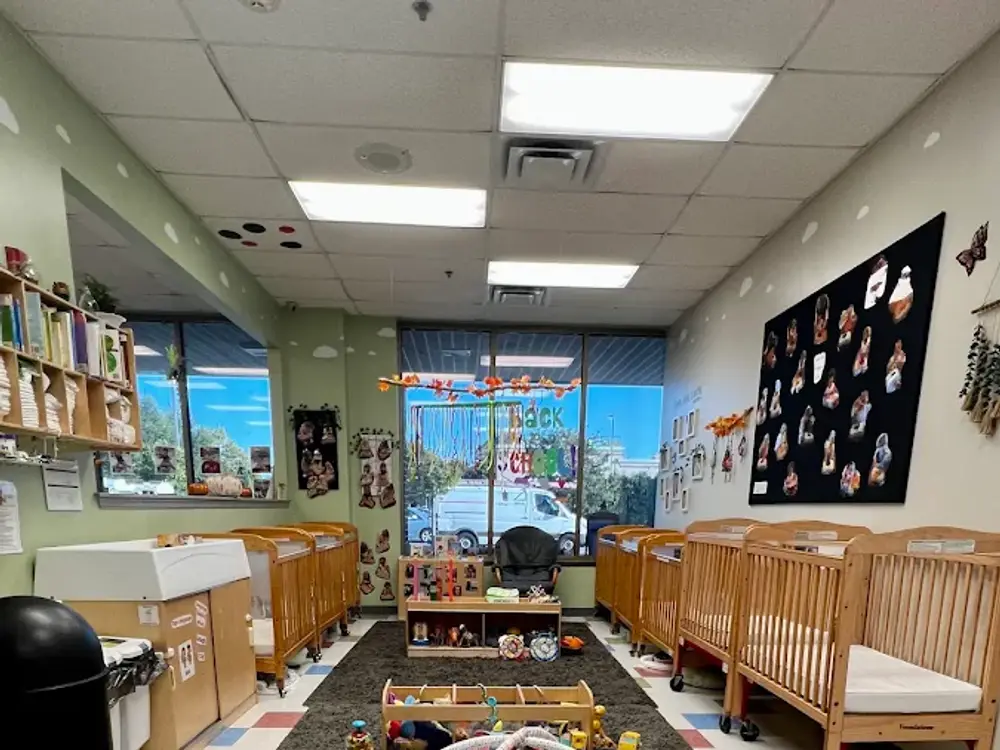 Celebree School of Bear, Bear