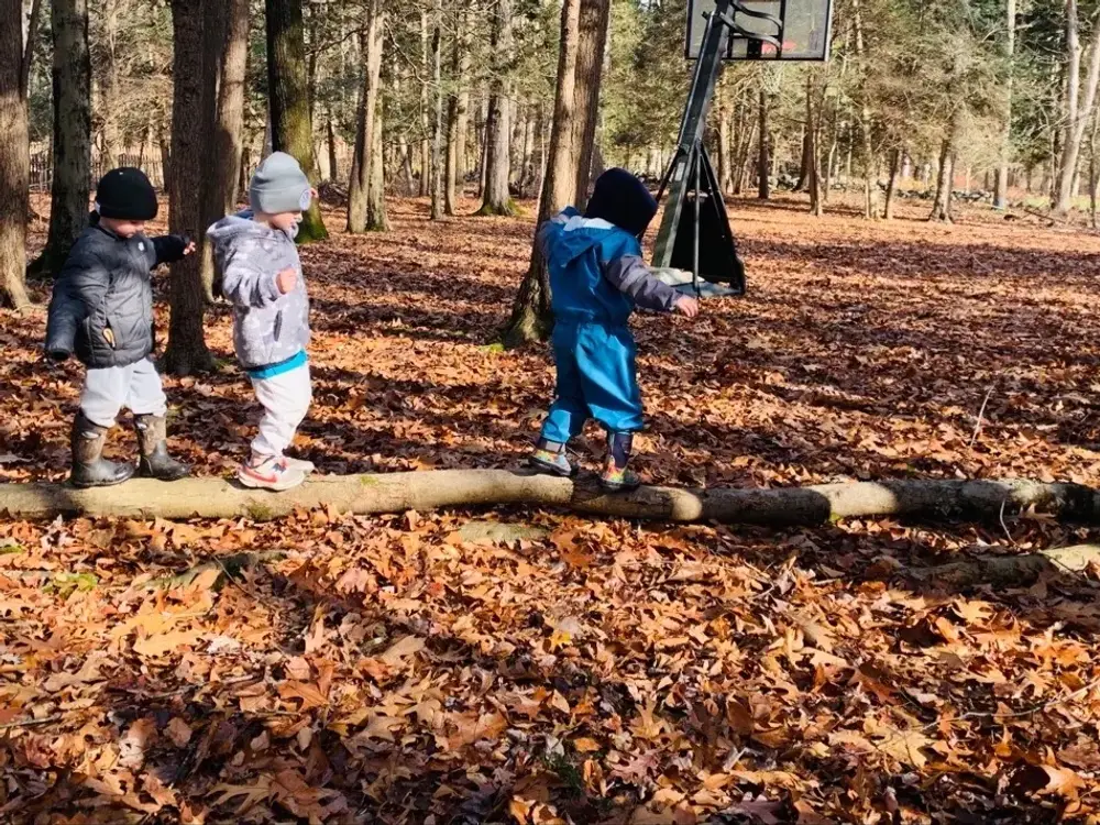 Connecticut Friends School, Wilton