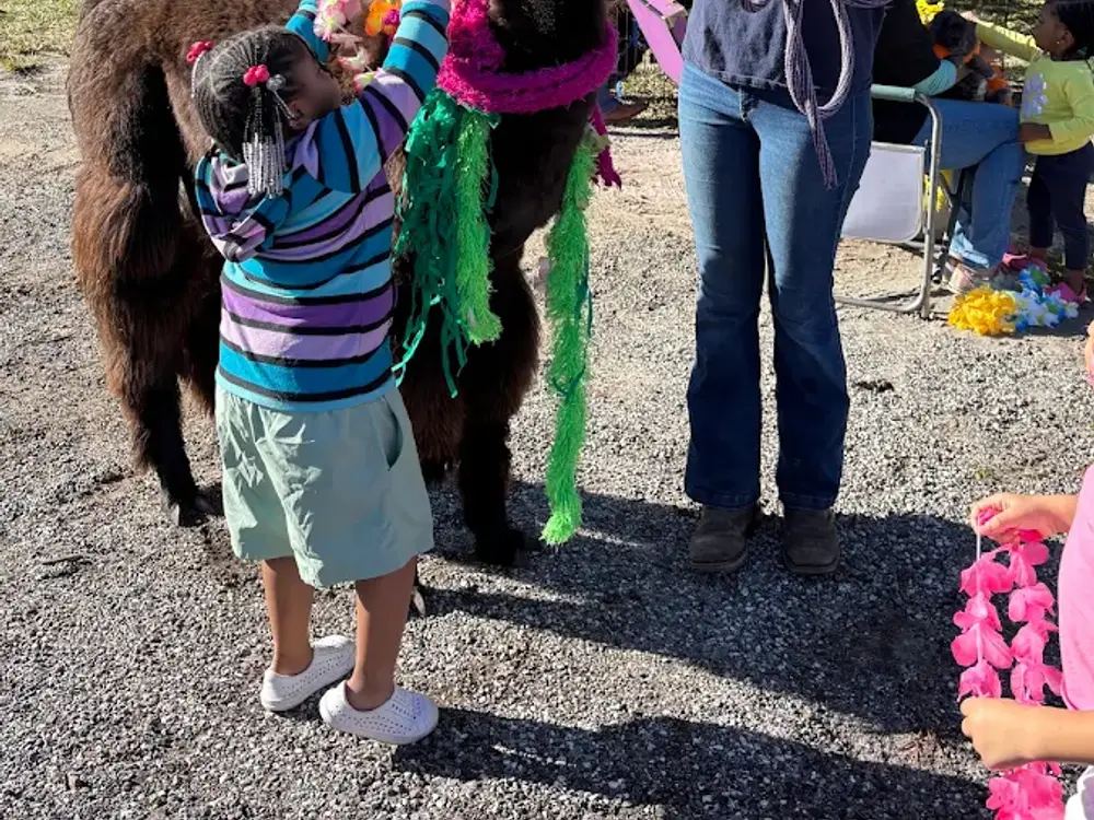 Creative Kids Learning Center, Eustis