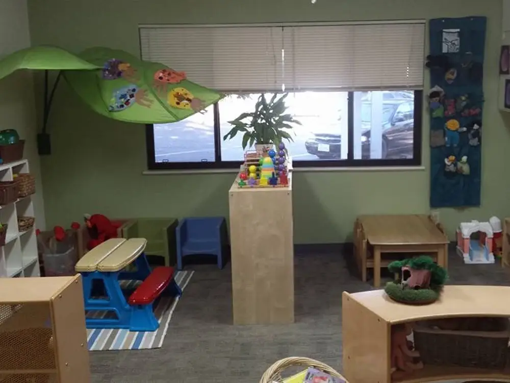 Discovery Tree & Arista Schools (Tad Lane), Citrus Heights