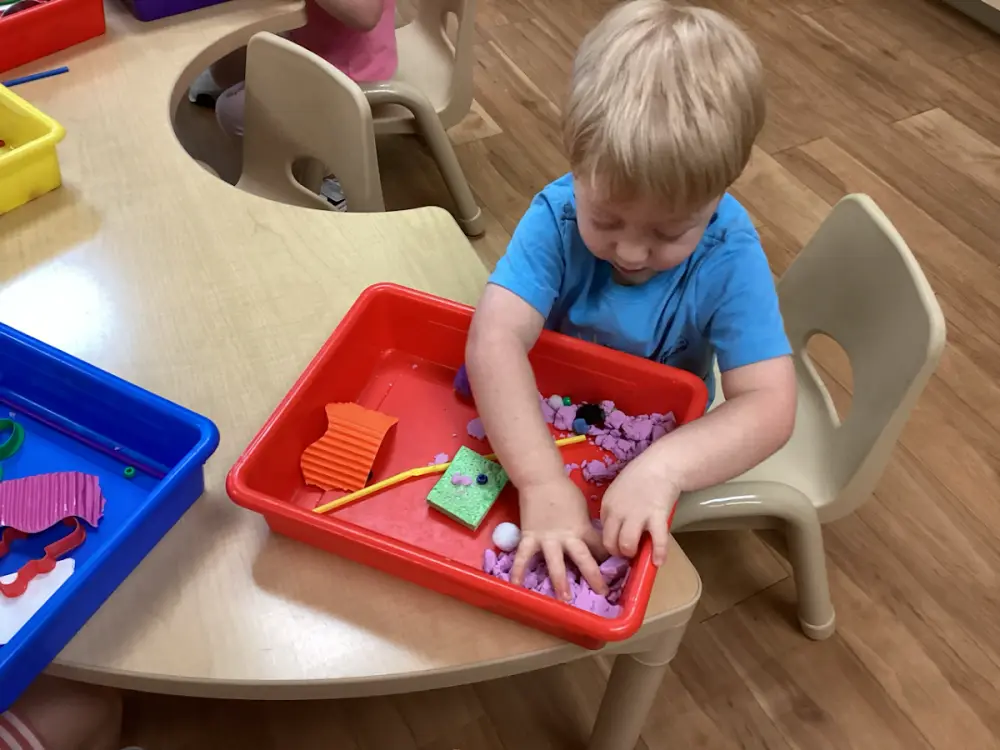 Doodle Bugs! Children's Learning Academy, Bradenton