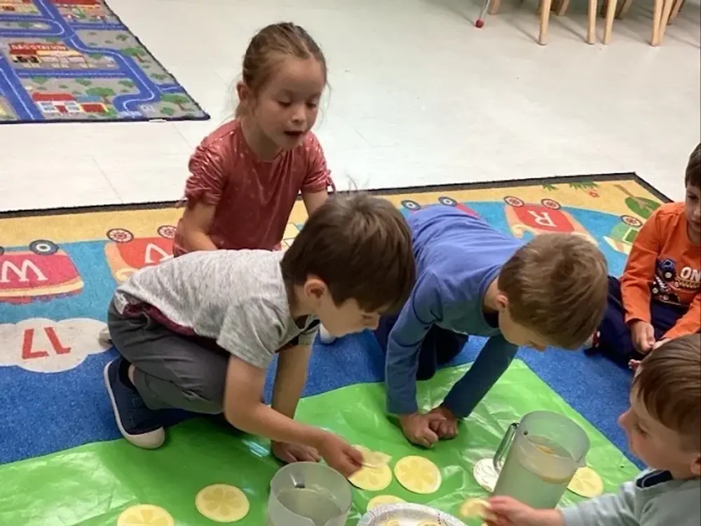 Dreamland Academy Inc., Tinley Park