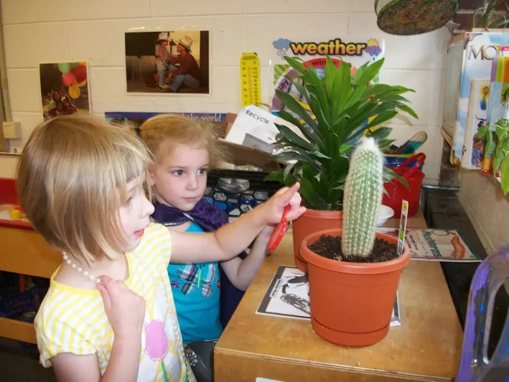 Federation Early Learning Services (FELS) Kehillah Early Learning Center, Wallingford