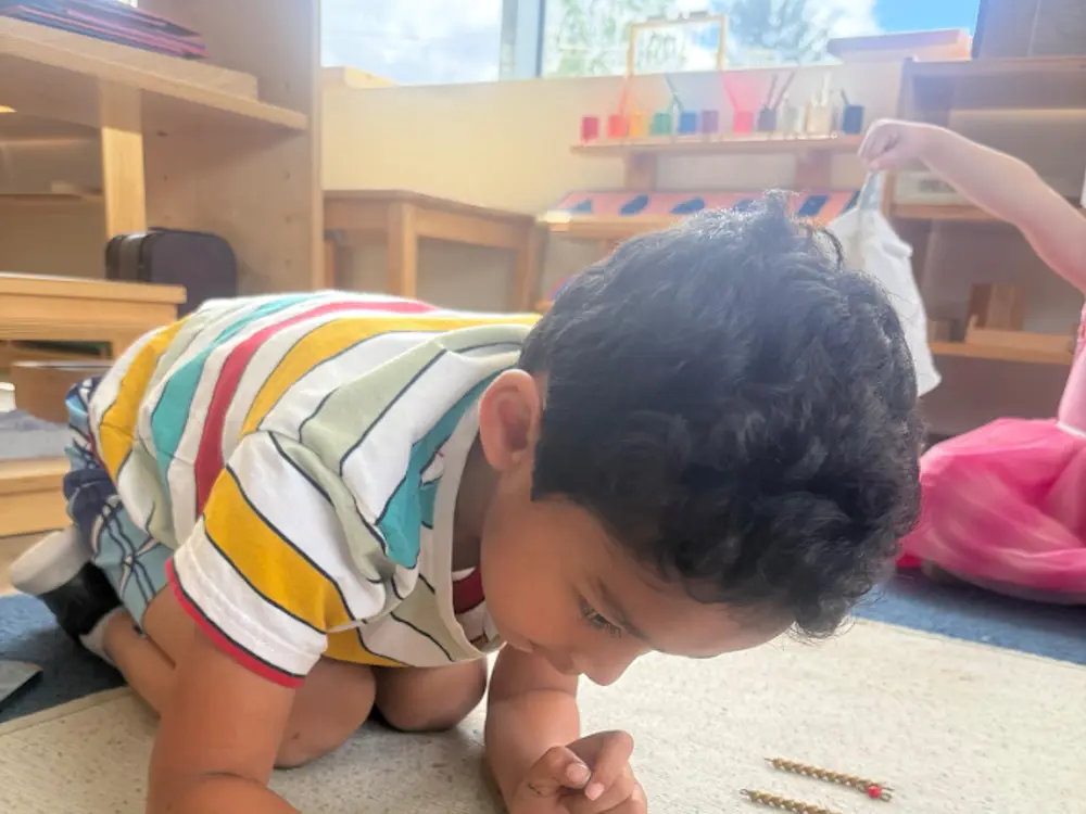 Illuminate Montessori at Marlborough, Marlborough