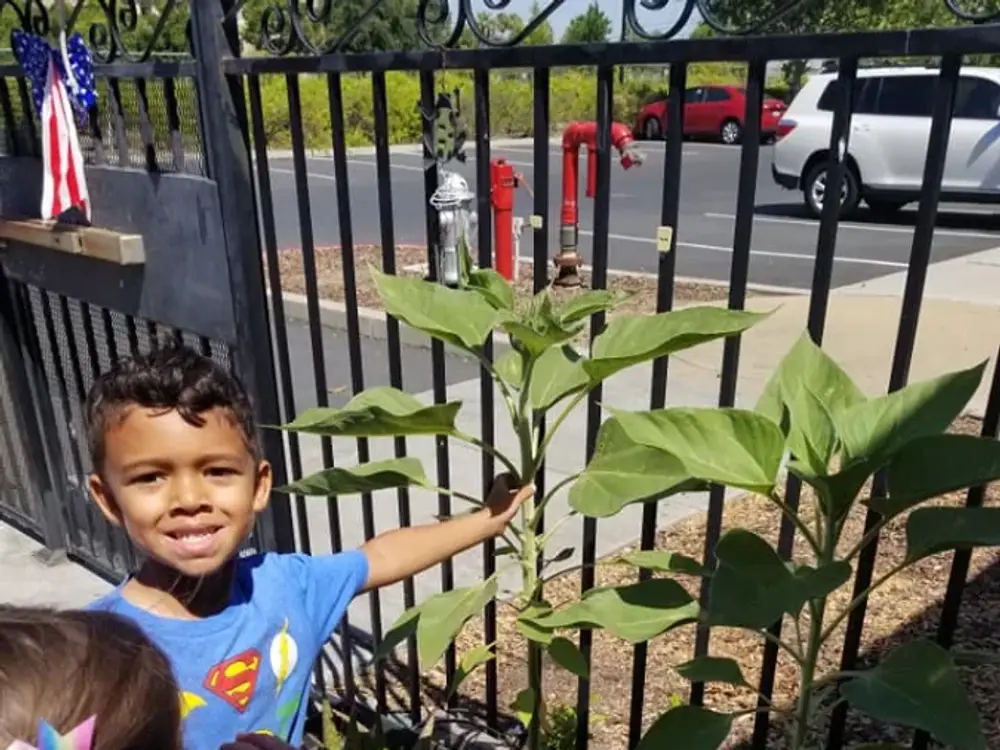 Inspire Preschool Academy, Sacramento