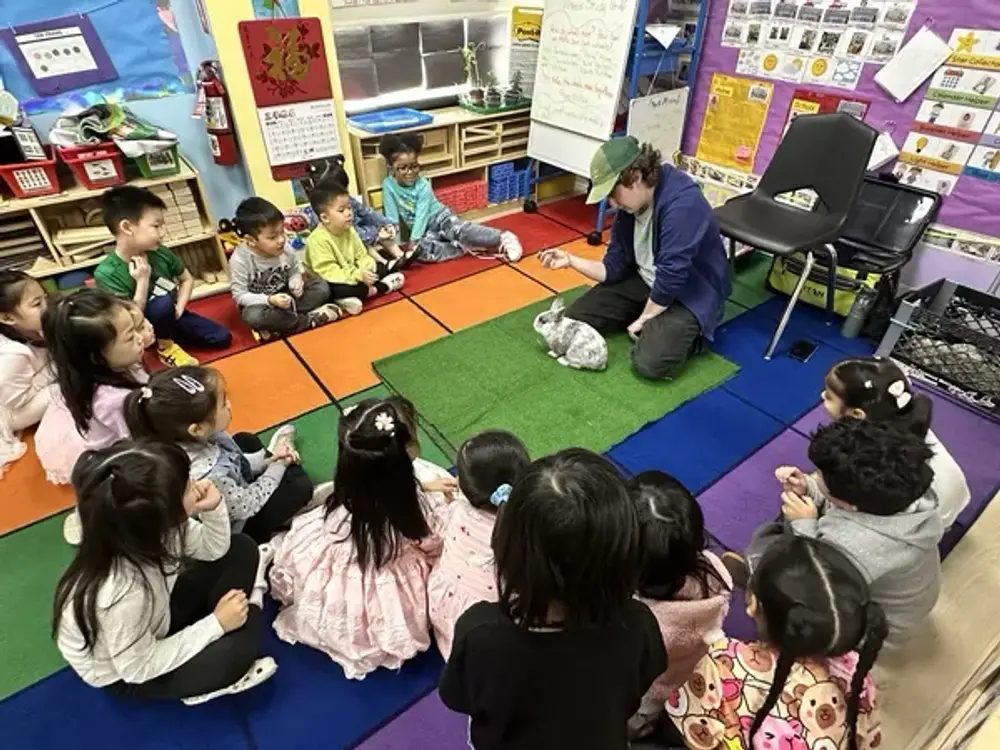Joy Daycare, Queens