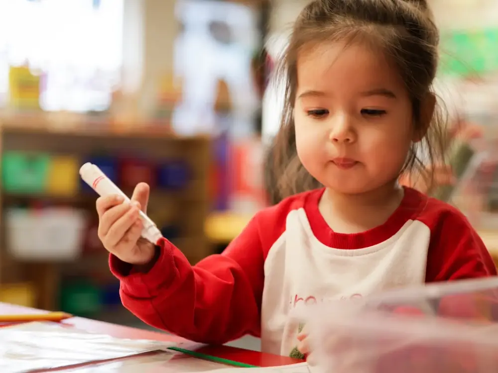 Joy garden learning center, Streamwood