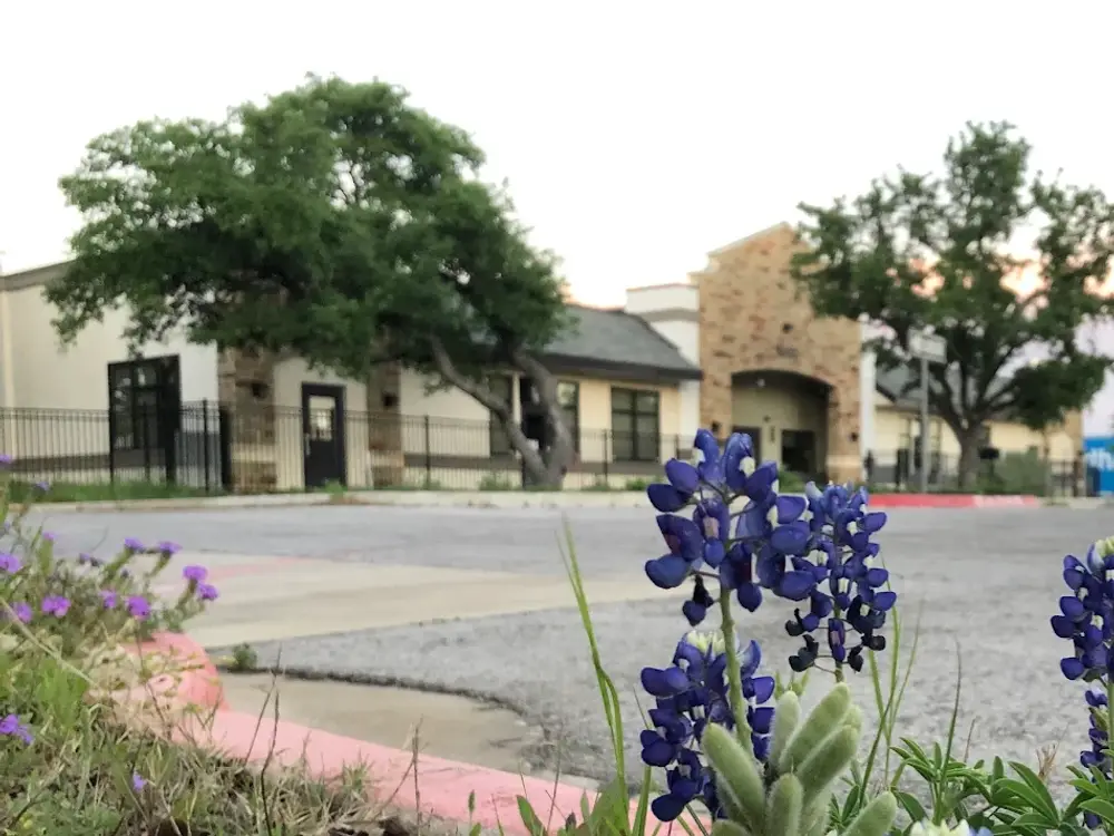 Jupiter House Preschool, Cedar Park