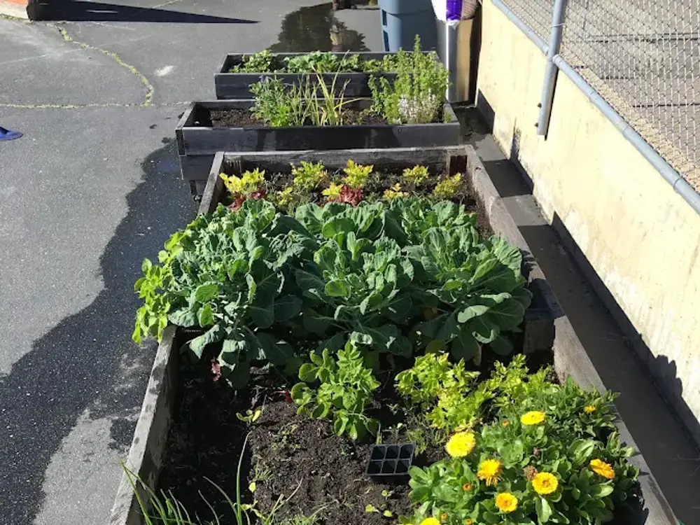 Les Petits Francophones, Oakland