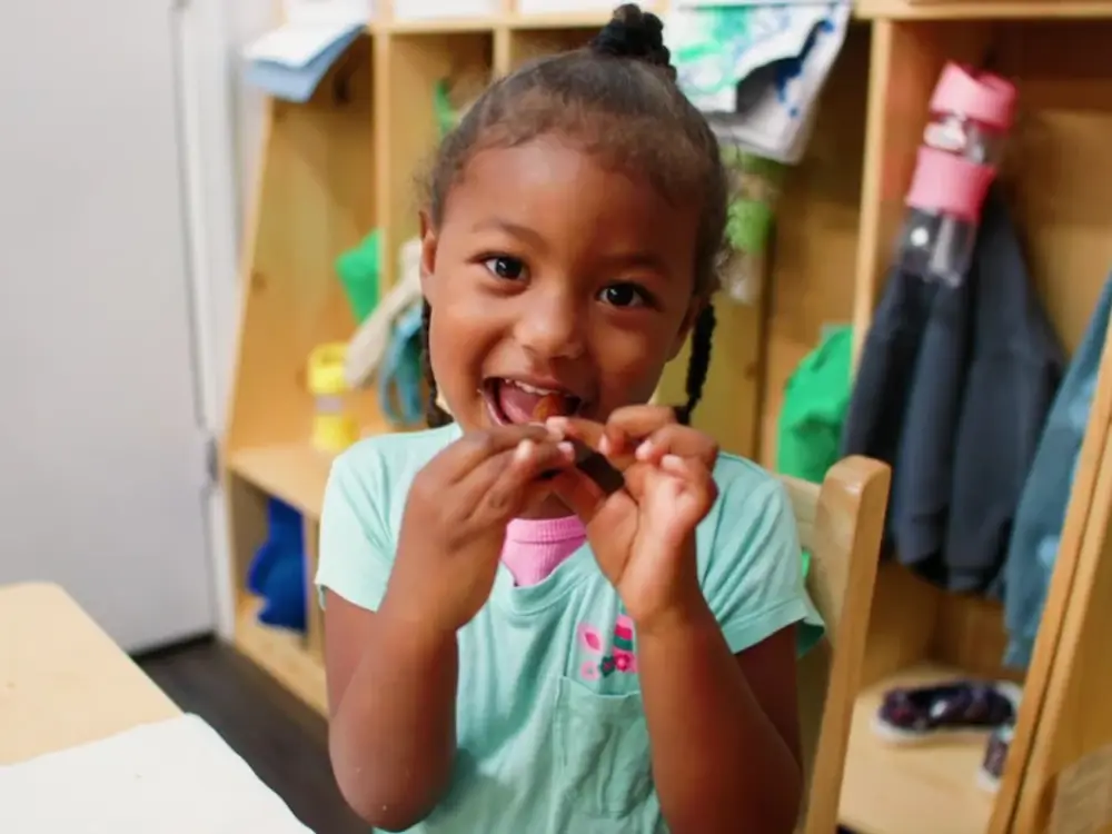Little Dreamers Early Learning Center, Lansing