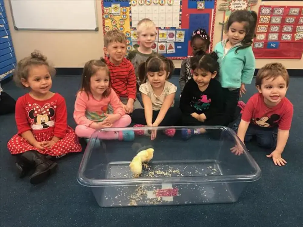 Little Learner Children's Academy, Yorkville