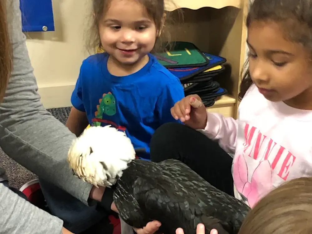 Little Pines Preschool, Chico