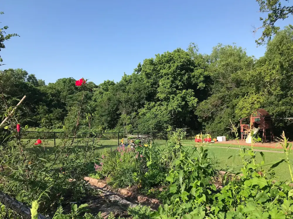 Los Amiguitos, Immersion, Nature and Community School, Austin