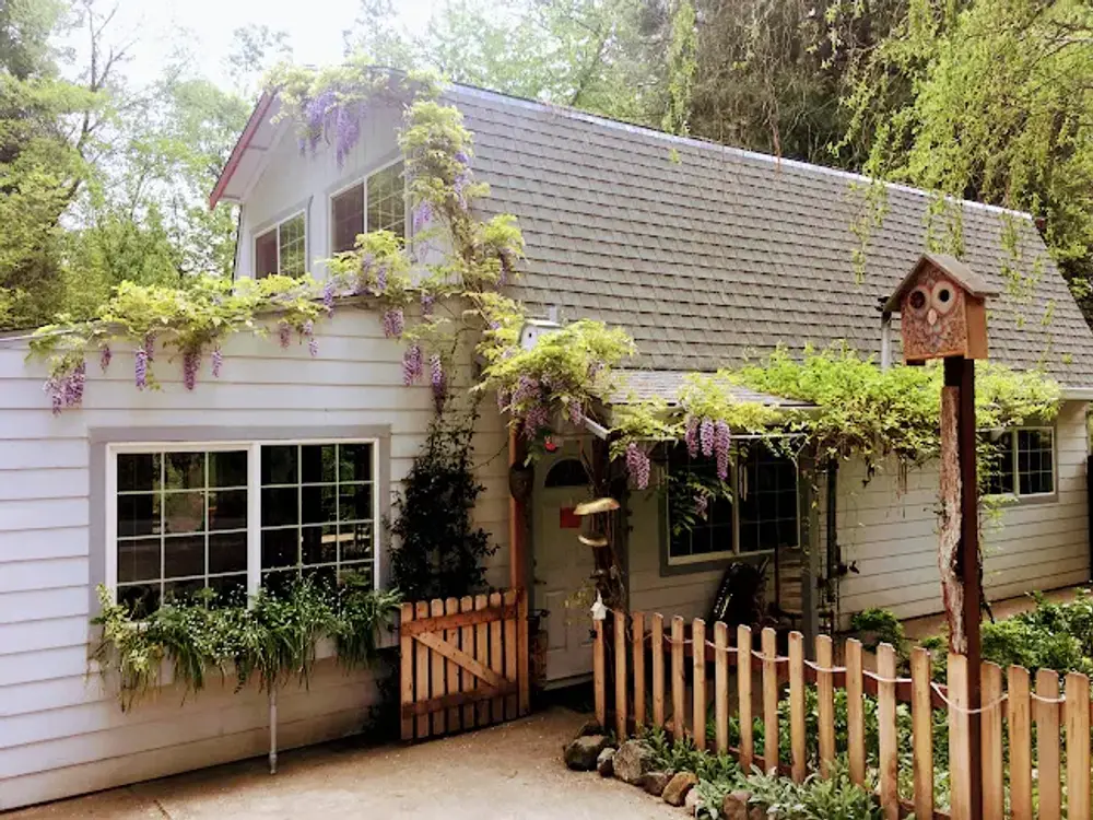 Mighty Acorns Preschool in Nevada City, CA