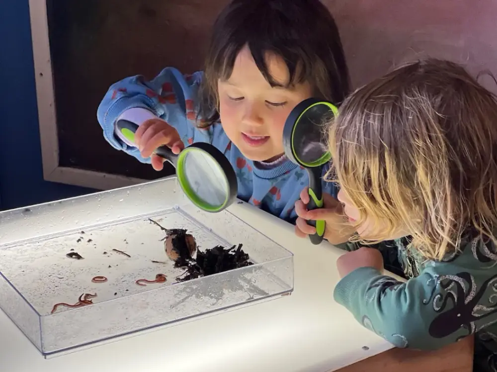 Mill Valley Nursery School, Mill Valley