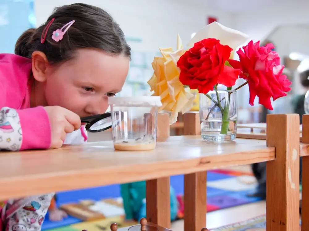 Montessori Academy of Campbell, Campbell
