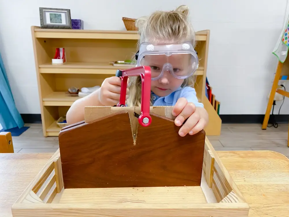 Montessori Academy of Carrollwood, Tampa