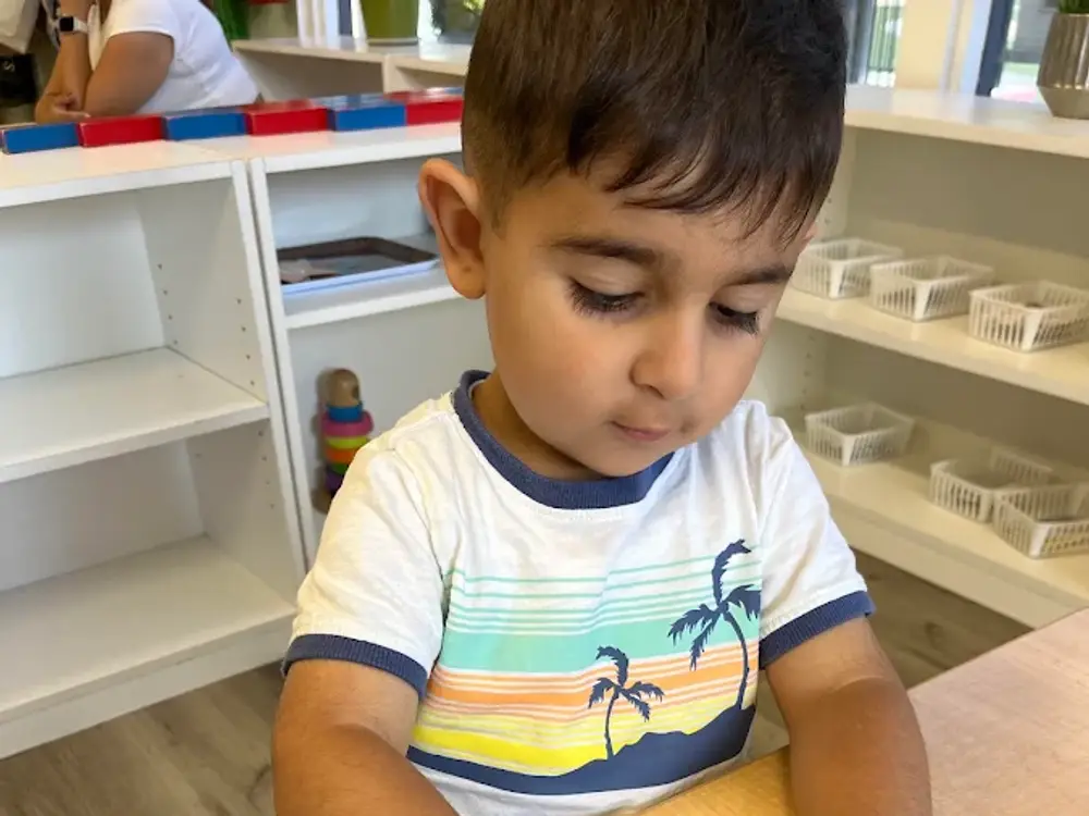 Montessori Academy of Chino, Chino