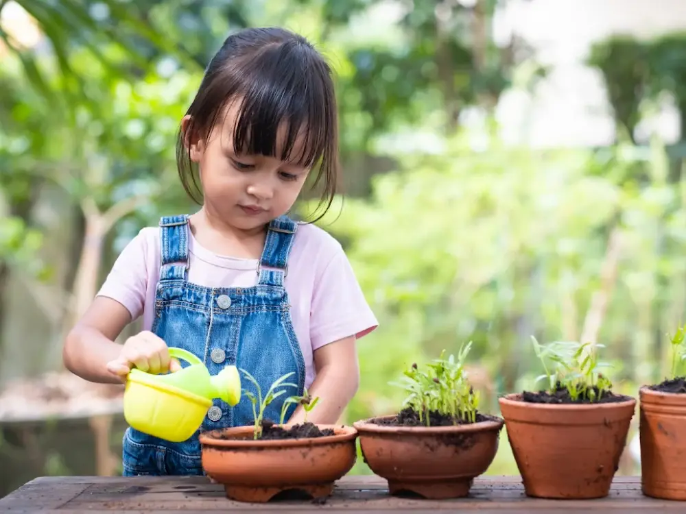 Montessori Children's Center in West Harrison, NY