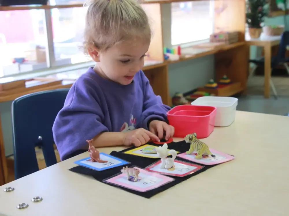 Montessori One Children's Learning Center, Westlake Village