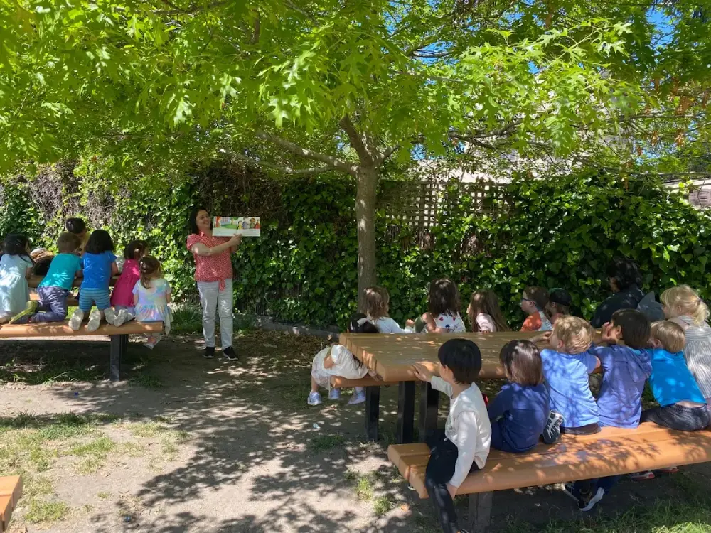 Orkidz Preschool, Albany