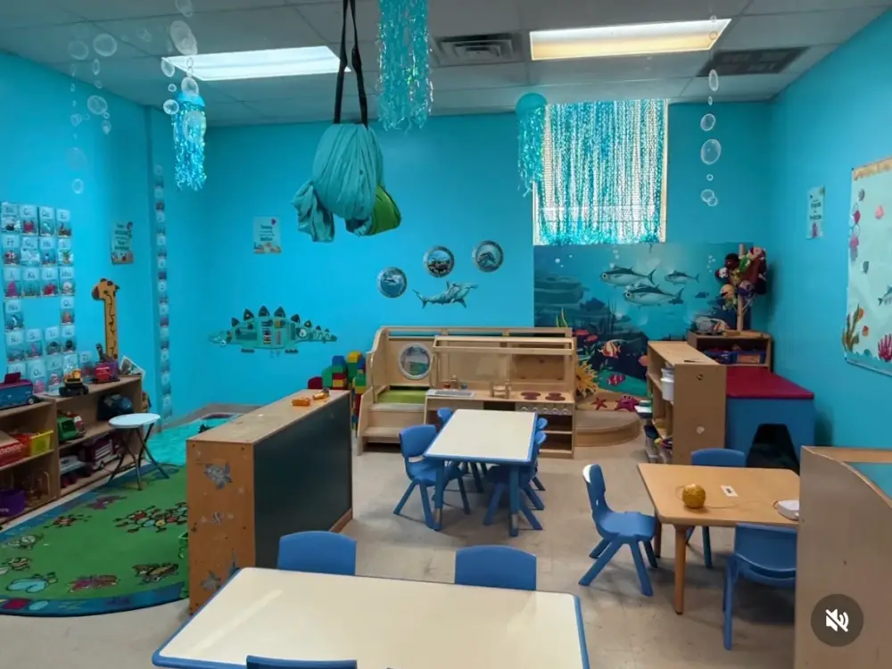 Premier Kids Academy, Lyndhurst