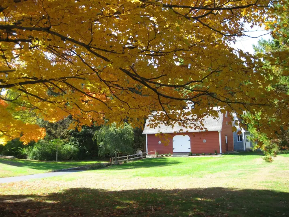 Red Barn Children's Center, Clinton