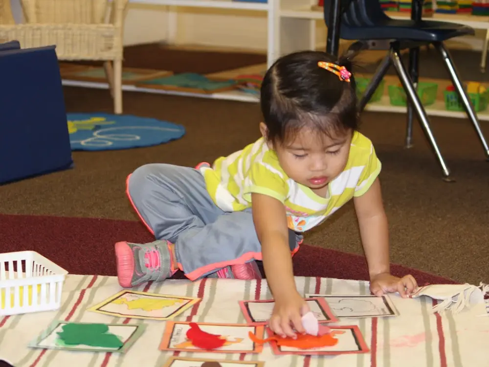 Scholarshine Lake Forest Montessori, Lake Forest