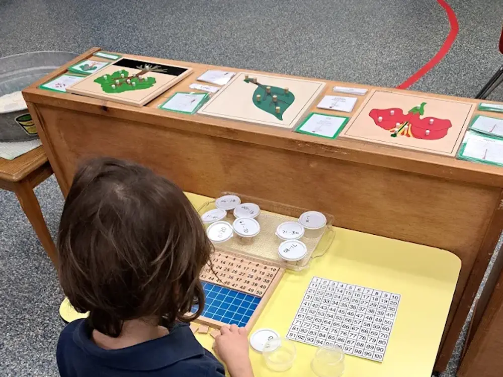 Spanish For Toddlers, Detroit