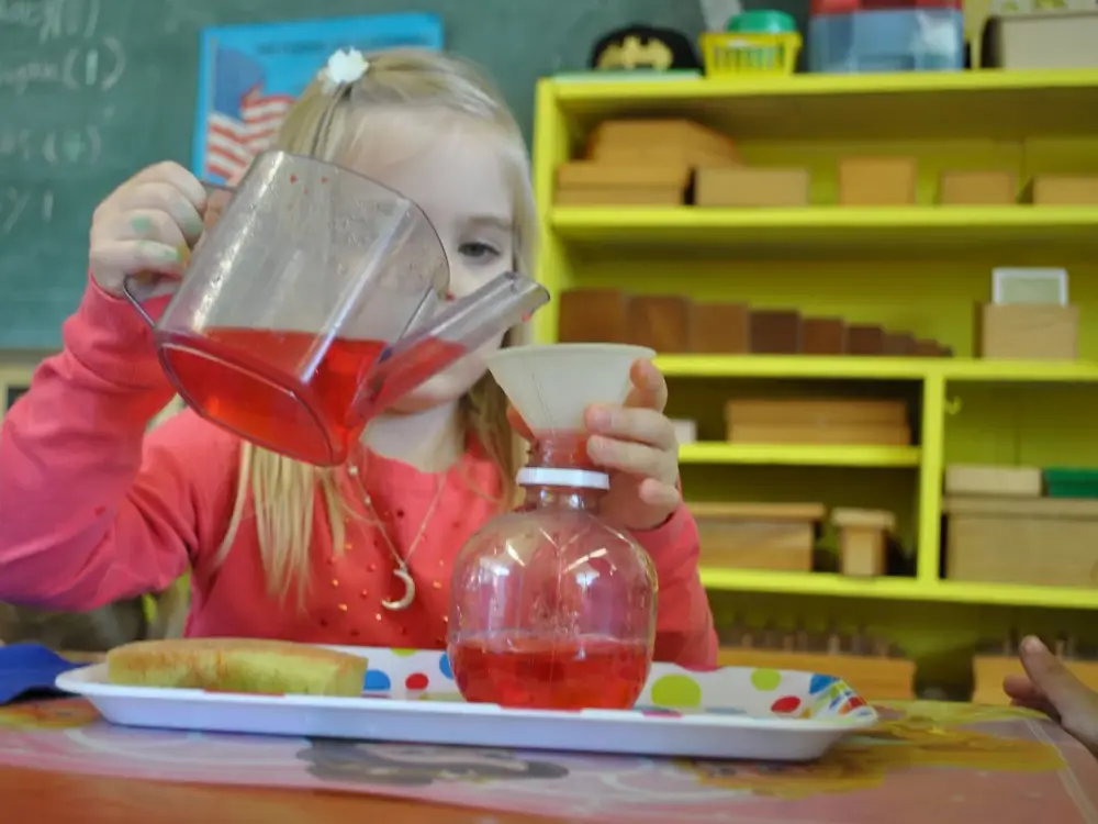 Sunflower Montessori Preschool & Day Care - Van Nuys in Van Nuys, CA