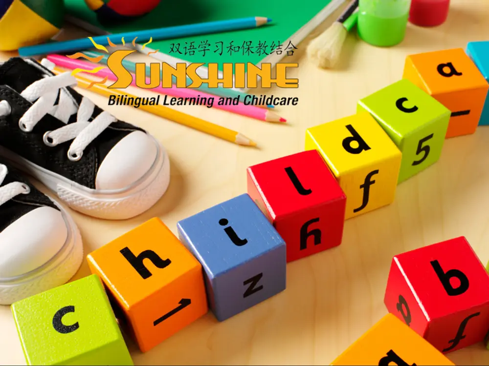 Sunshine Bilingual Learning & Childcare I & II (236 Harrison Avenue), Boston