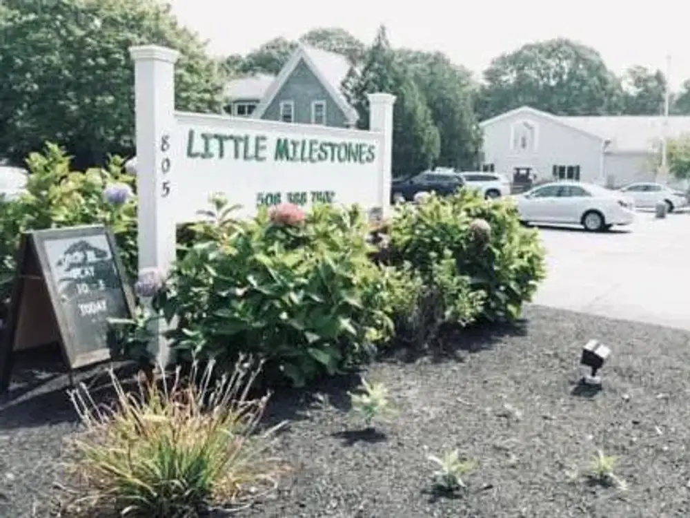 the Preschool + Childcare at Little Milestones, Teaticket