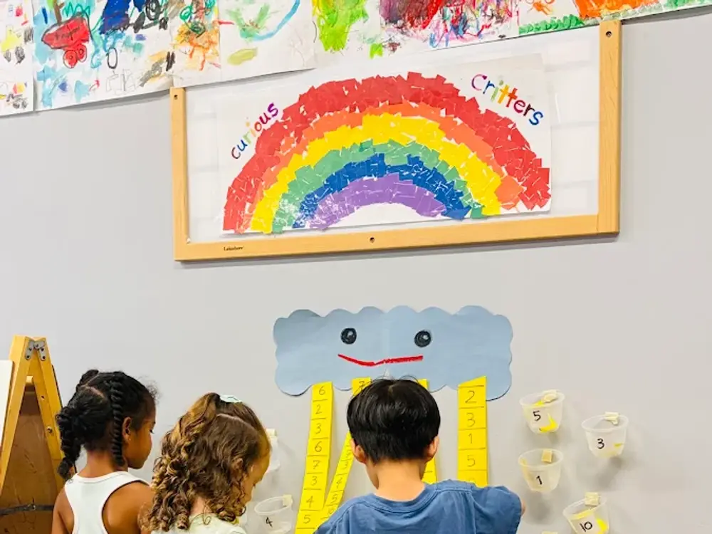 Three Little Owls Learning Academy, Vista