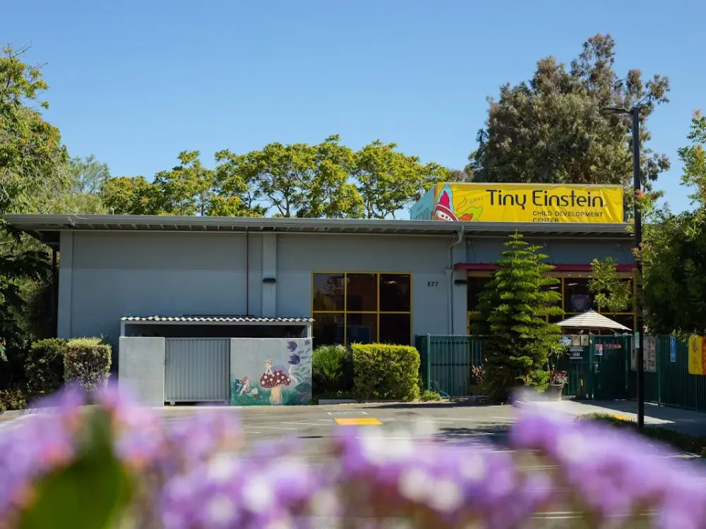 Tiny Einstein Child Development Center, Mountain View
