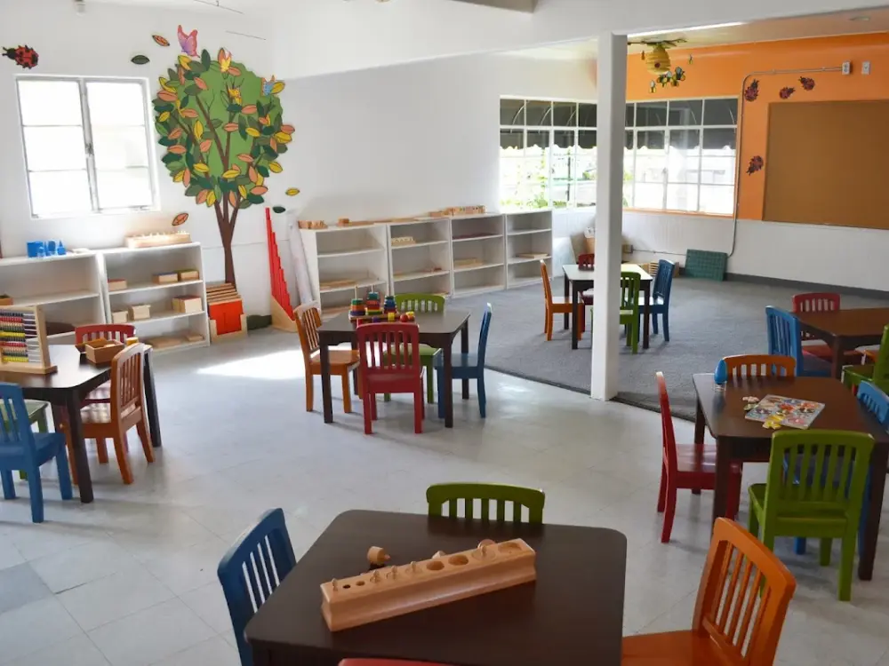 Wonderland Montessori & Preschool of Anaheim, Anaheim
