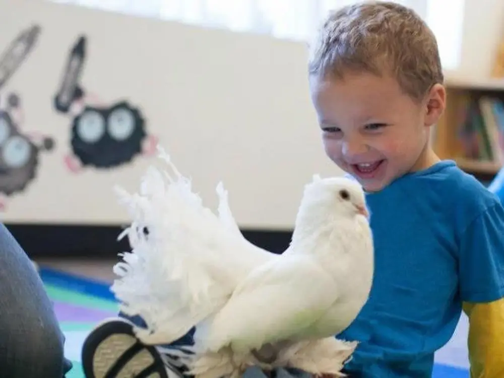 Woodcrest Preschool, Tarzana
